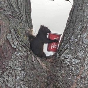 Meet your Posher, Beverly